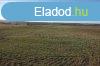 Isaszegen szntfld elad