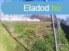 Elad zrt kert Szatymazon!