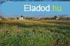 Pli - ptsi telek elad