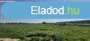 Babt - szntfld elad