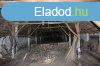 Elad 70 nm-es Tanya Hajdbszrmny