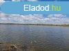 Elad Halast Gyula