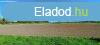 Keszthelyen sznt elad
