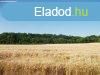 Alsphokon szntfld elad!