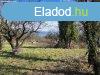 740m2 gymlcss a Bagolyvr kzelben elad