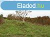 Elad Szntfld, legel Sopron