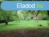 Elad Gymlcss, szl gfalva