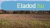 Elad ptsi telek Lengyeltti