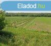 Szlterlet elad Balatonboglron