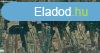 Elad erd Igal klterletn!