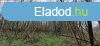 Elad erd Gamson!