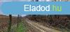 Elad erd Gamson!