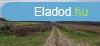Elad erd Gamson!