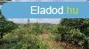Miskolctapolca Benedek hegyen elad 902 m2-es panorms tele