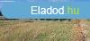 Elad 6742 m2-es telek 1600 db gondozott szltkvel Szegib