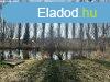 Elad ptsi telek Bks