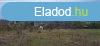 Elad 0Zrtkert, Gdll