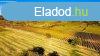 Elad rk panorms terlet budavron! 2,3ha!