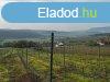 budavron RK PANORMS zrtkert elad! 5107nm!