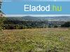 Elad rkpanorms telek Balatoncsicsn!