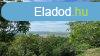 3245m2 zrkert gazdasgi plettel elad Vrpalotn - Vrpal
