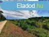 Telepls kzeli - elad ERD TERLET BALATONUDVARIBAN - Bal