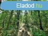 Telepls kzeli - elad ERD TERLET BALATONUDVARIBAN - Bal