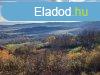 rkpanorms, pthet-elad MEZGAZDASGI TERLET PCSELYE