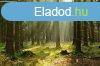 ERDTERLET Balatonhenyn ELAD! - Balatonhenye