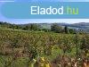 pthet, tjpanorms-elad MEZGAZDASGI TERLET MINDSZENT