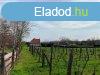 pthet telek 500 mterre a strandtl - Balatonfred