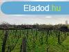 pthet telek 500 mterre a strandtl - Balatonfred