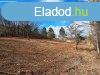 PTHET, TJPANORMS  terlet -elad ZRTKERT PCSELYEN - 
