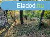 Elad vzparti telek Szolnok Alamand dl!