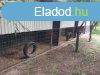 Szolnok Szajol kztt a 4-es ft mellett zrtkert elad kis