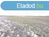 Szolnok kzelben lv 2,6 HA -os tanya elad, M4-es t mell