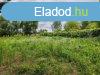 800 m2-es zrtkert elad Szolnokon a Patk utcban!