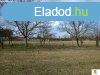 Piliscsv, 1107 m2, 21600000 HUF [4425_328]