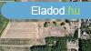 Flp gazdlkodsra alkalmas gynyr birtok elad
