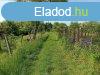 Elad 35m2-es Zrtkert, Kaposvr