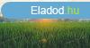 Nagy fldterlet ftvonal mentn elad