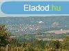Elad zrtkerti telek Fehrvrcsurgn