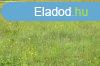 Elad 0ptsi telek, Tiszacsege
