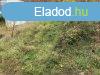 Elad 1237 nm-es Garzs Pcs Mecsekoldal/Deindol 