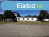 Elad 450 nm-es Feljtott Egyb Pcs Gyrvros 