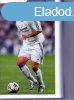 Futballvknyv 2003. I-II. MAGYAR LABDARGS/NEMZETKZI LABD