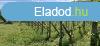 Elad prshz dndon!