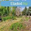 Gombn feljtst ignyl 150 m2 hz, 916 m2 telek