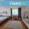 Monor Hegyessy tanyn feljtott csaldi hz, 2073 m2 t