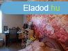 Elad 70 nm-es Csaldi hz Jszjkhalma